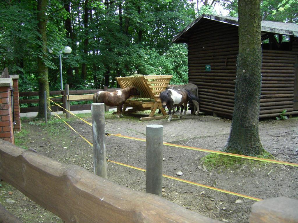 Rothers Ferienwohnung Annaberg-Buchholz Exterior foto